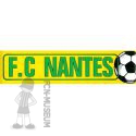 1976-77 FC Nantes