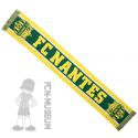 2011-12 FC Nantes