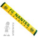 2014-15 FC Nantes étoiles