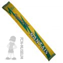 Allez Nantes Canaris Supporter nantais