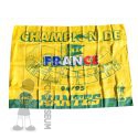 1995 Champion de France (Drapeau)