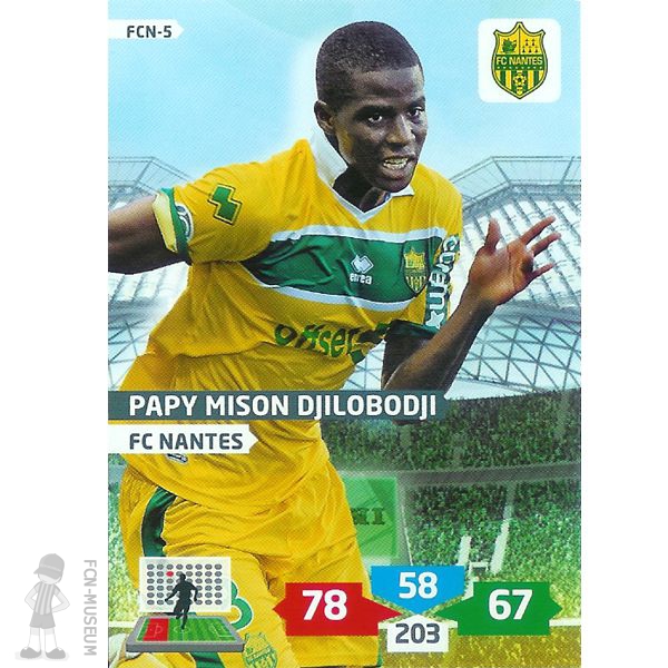 2013-14 DJILOBODJI Papy (Cards)