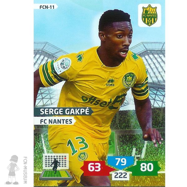 2013-14 GAPKE Serge (Cards)
