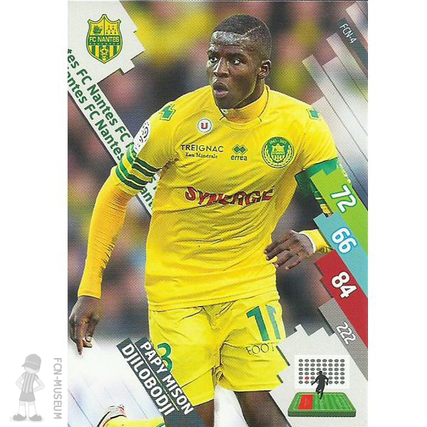 2014-15 DJILOBODJI Papy (Cards)