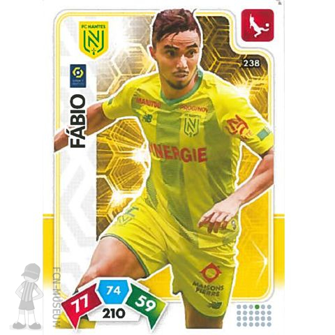 2020-21 FABIO (Cards)