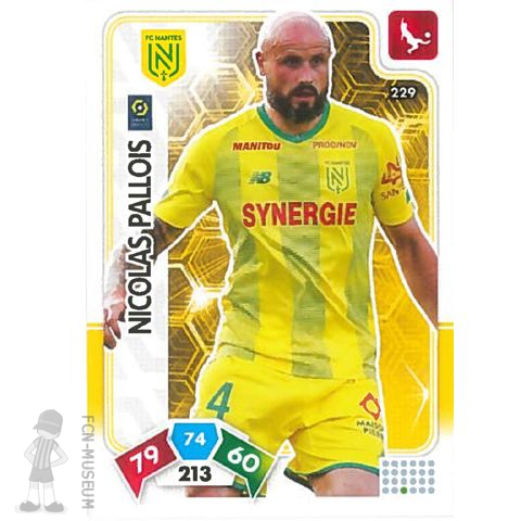 2020-21 PALLOIS Nicolas (Cards)