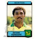 1987-88 KOMBOUARE Antoine (Panini)