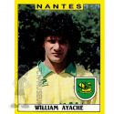 1988-89 AYACHE William (Panini)