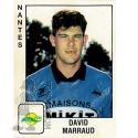 1989-90 MARRAUD David (Panini)