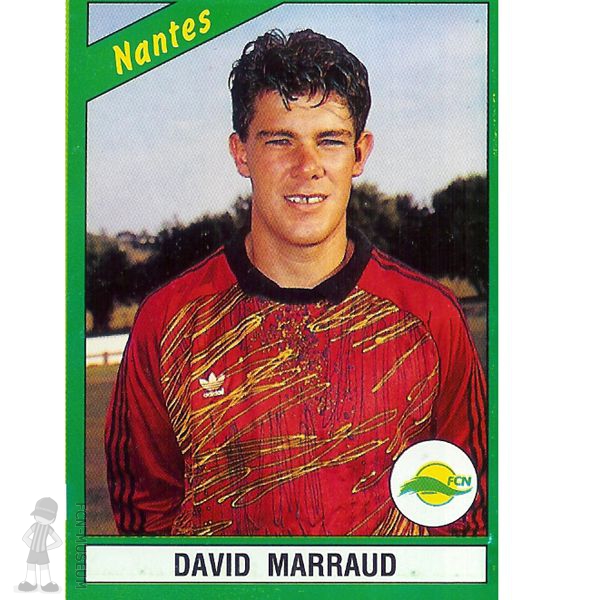 1991 MARRAUD David (Panini)