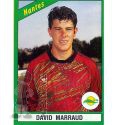 1991 MARRAUD David (Panini)