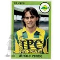 1993-94 PEDROS Reynald (Panini)