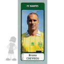 2011-12 CHEYROU Bruno (Panini)