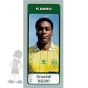 2011-12 NGOYI Granddi (Panini)