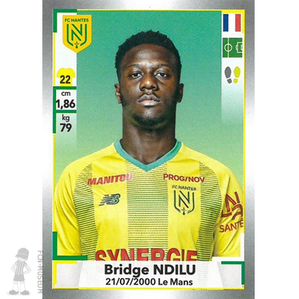 2019-20 NDILU Bridge (Panini)