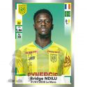 2019-20 NDILU Bridge (Panini)