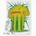 2020-21 Maillot (Panini)