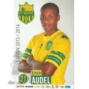 2013-14 AUDEL Johan