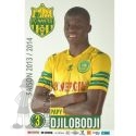 2013-14 DJILOBODJI Papy