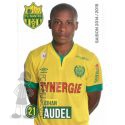 2014-15 AUDEL Johan