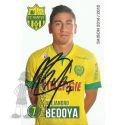 2014-15 BEDOYA Alejandro